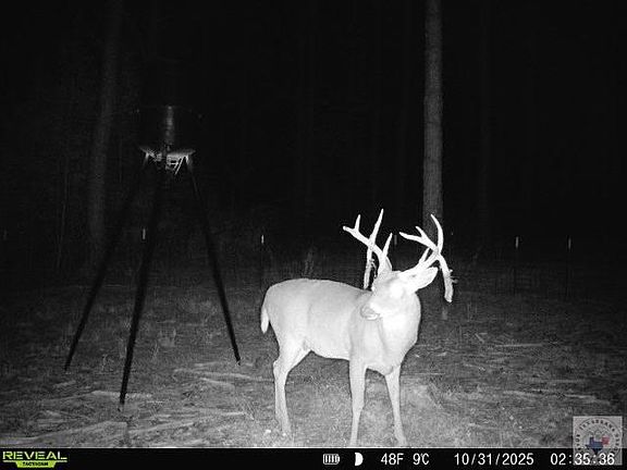 2nd image of 0 County Road 1640 N