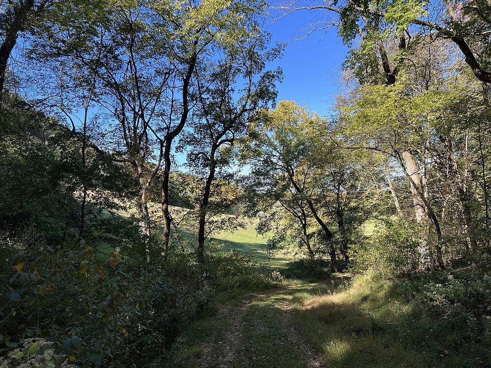 16th image of this home