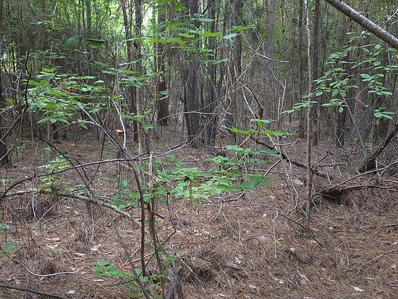 5th image of 0 Salem Rd #156A