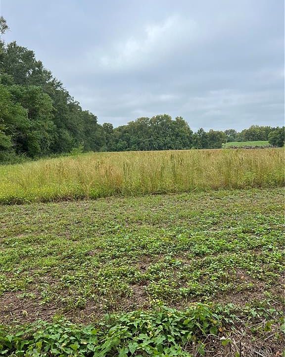 0 Bringol Rd Marksville, LA, 71351 Apartments for Rent Zillow