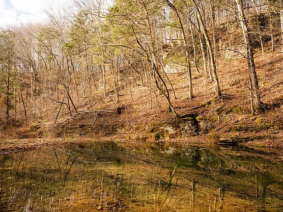 15th image of this home