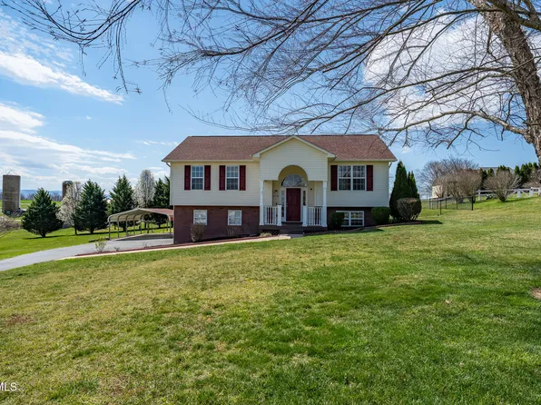 118 Butterfly Ct, Limestone, TN 37681