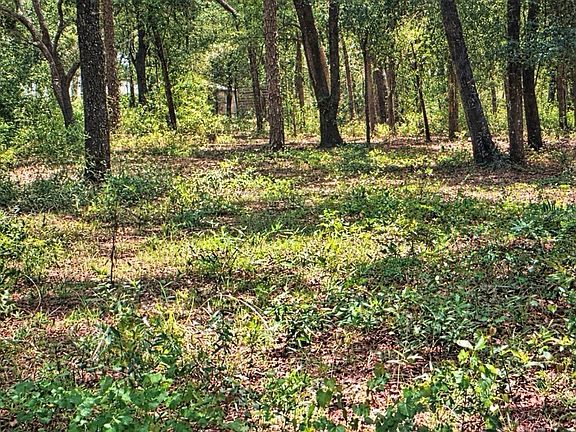 5th image of ROLLING ACRES ROAD