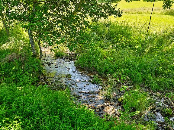 4th image of 12 Squirrel Hunting Rd