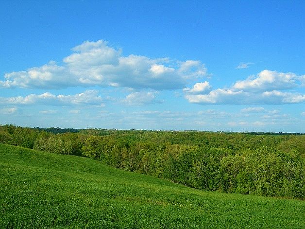 2nd image of Genoa Vista #12