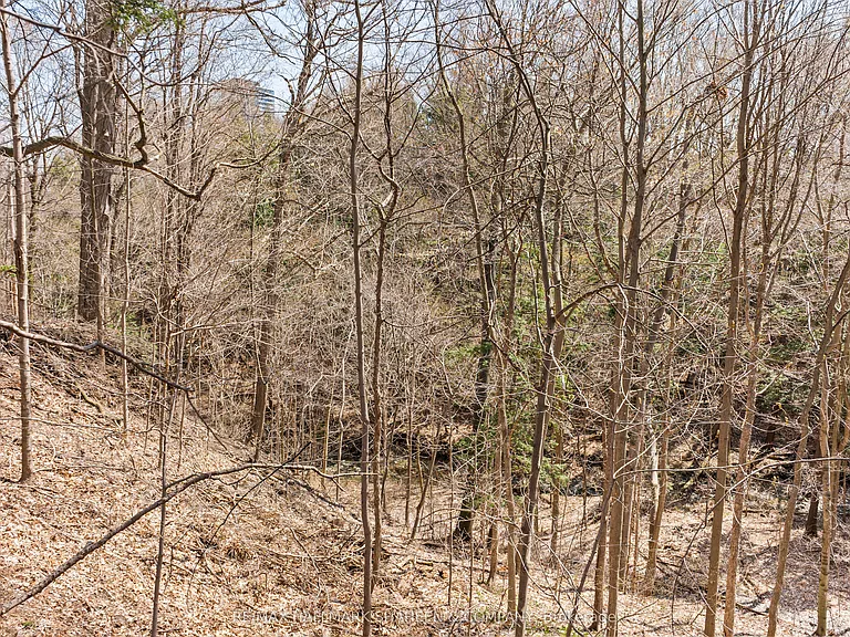 45 Hi Mount Dr — Photo 42