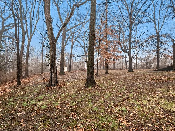5th image of 321 Fork Dr