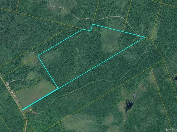 LOT Des Dallaire Rd, Saint Mary, NB E4S 1S2