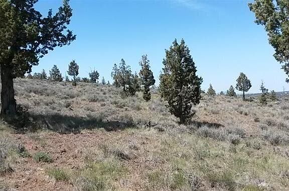 4th image of Tl 2200 Se Winchester Loop