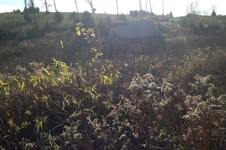 1st image of 870 Rooster Run Road
