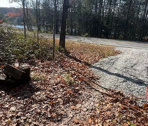 4th image of 516 County Route 56