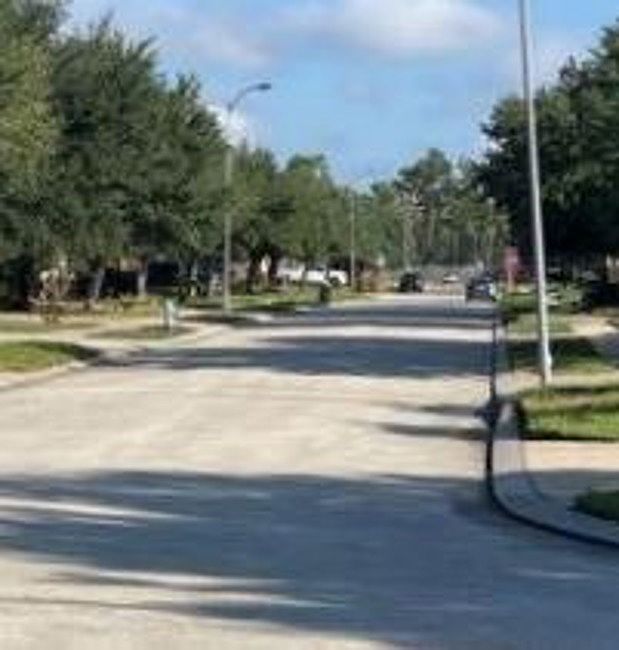 Exterior Neighborhood (street photo)