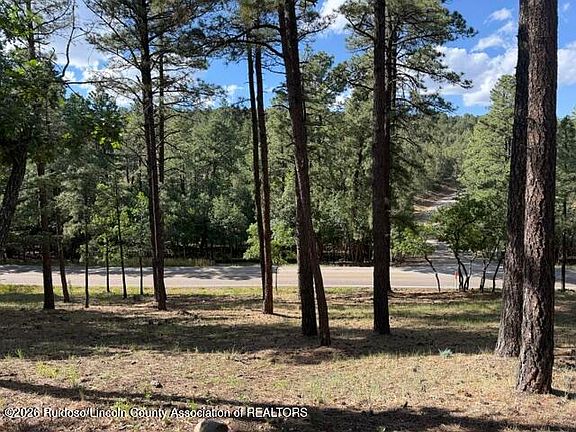 3rd image of LOT 62 Fort Stanton Rd #4