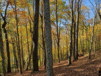 0 Savannah Dr Lot 3, Smithville, TN, 37166