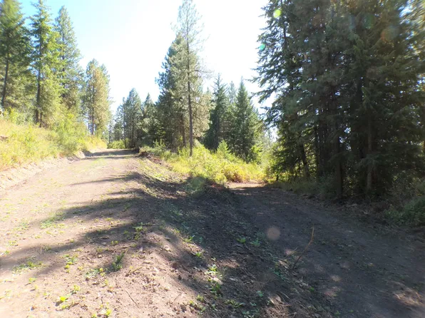 4XX E South Barnaby Creek Rd, Inchelium, WA 99138