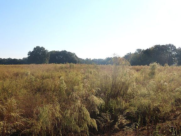 2nd image of 841 County Farm Rd