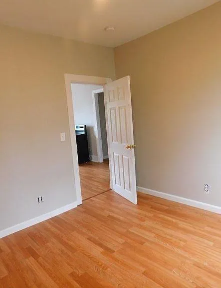 951 Rodman St #2 — Photo 5