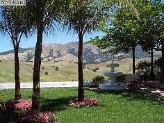 Private yard for entertaining.