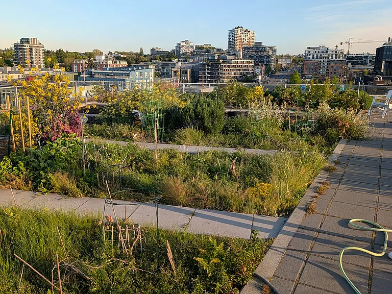 Rooftop community garden