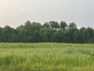 Lot 4 28th Avenue, Elk Mound, WI, 54739