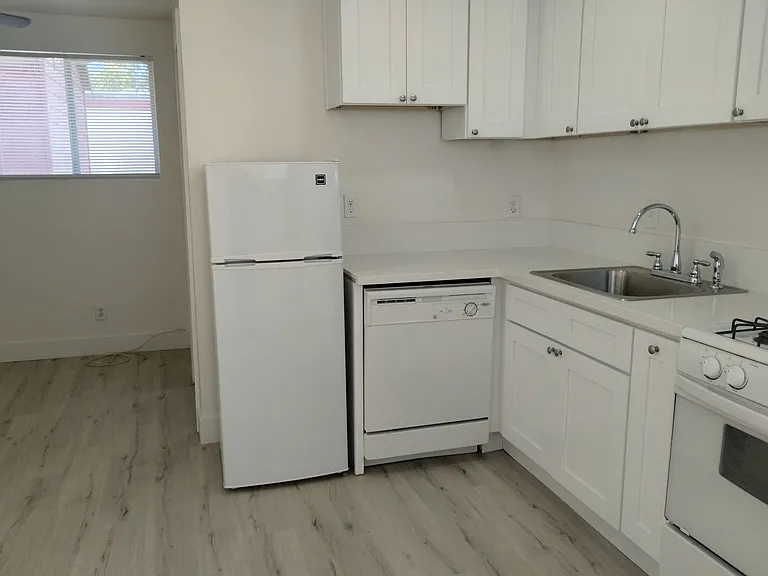 Fridge and dishwasher