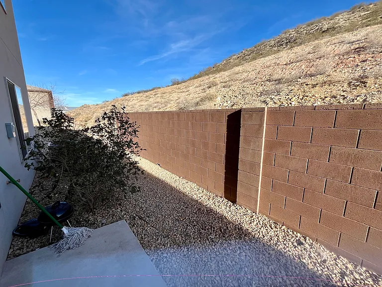 Back yard