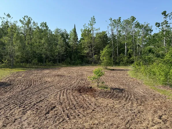 0 Emerald Lake Trl, Gaylord, MI 49735