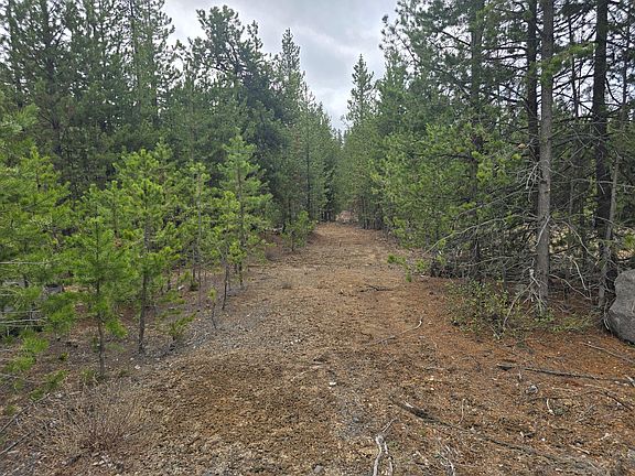 2nd image of 59 Royce Mountain Way