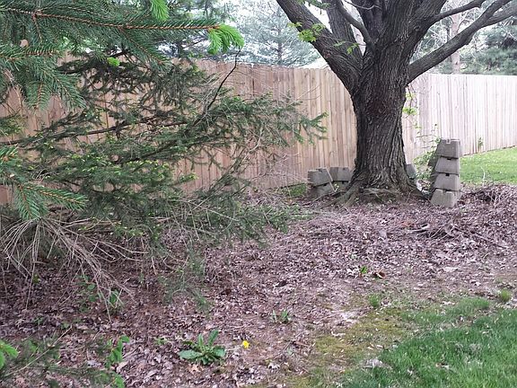 Front Side Yard