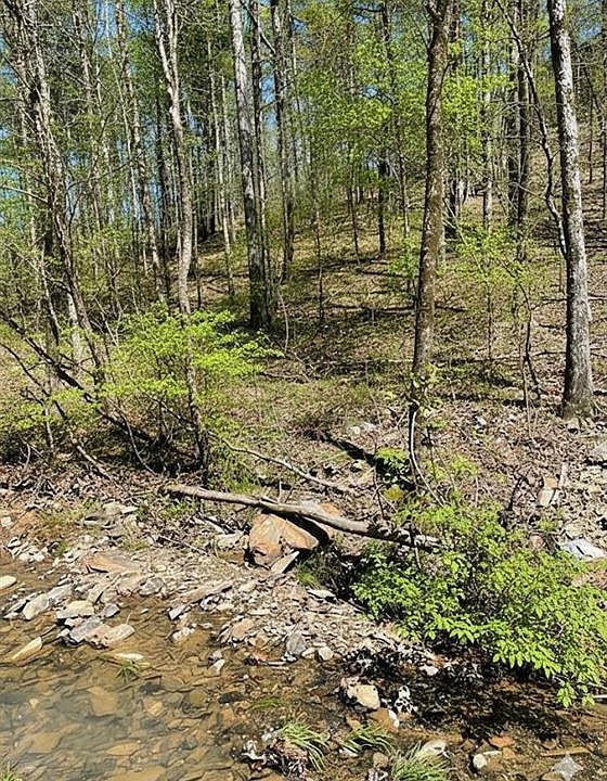1st image of 158 Western Maple Trl Lot 41