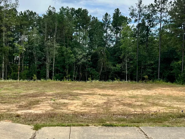 87 Bellegrass Blvd, Hattiesburg, MS 39402