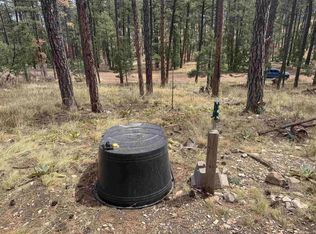 Arapaho Dr, Timberon, NM 88350