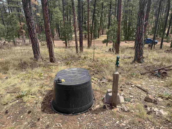 Arapaho Dr, Timberon, NM 88350