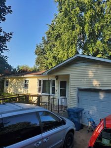 1319 N Fender Ave, Springfield, MO, 65803
