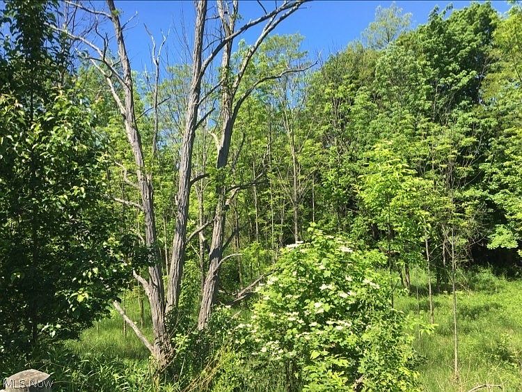 2nd image of Bishop Rd