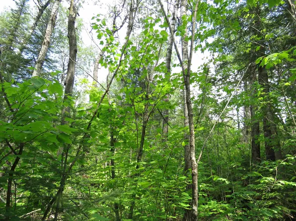 X7 Caps Trl, Lutsen, MN 55612