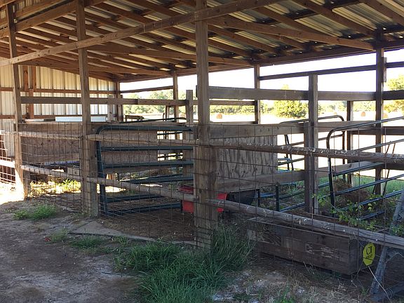 5th image of 115 County Road 4101