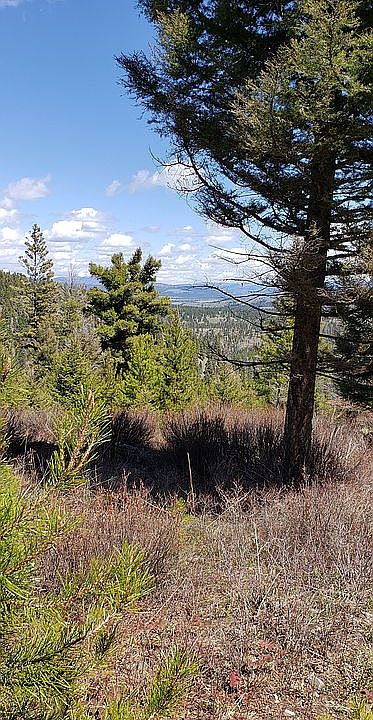 2nd image of Saurkraut Mtn