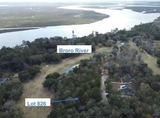 826 Bridge Island Dr NE, Townsend, GA 31331