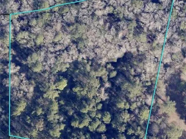 0 Honey Dew Lane, Brooklet, GA 30415