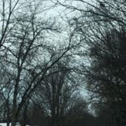 Exterior Neighborhood (street photo)