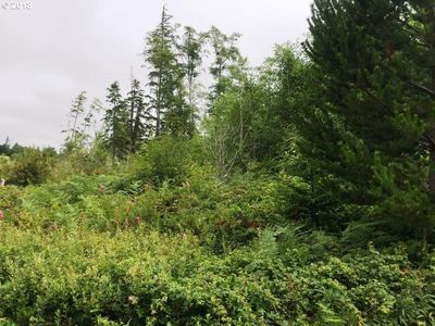 3005 202nd St, Ocean Park, WA, 98640