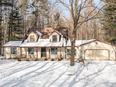 18880 Nelson Rd, Saint Charles, MI, 48655