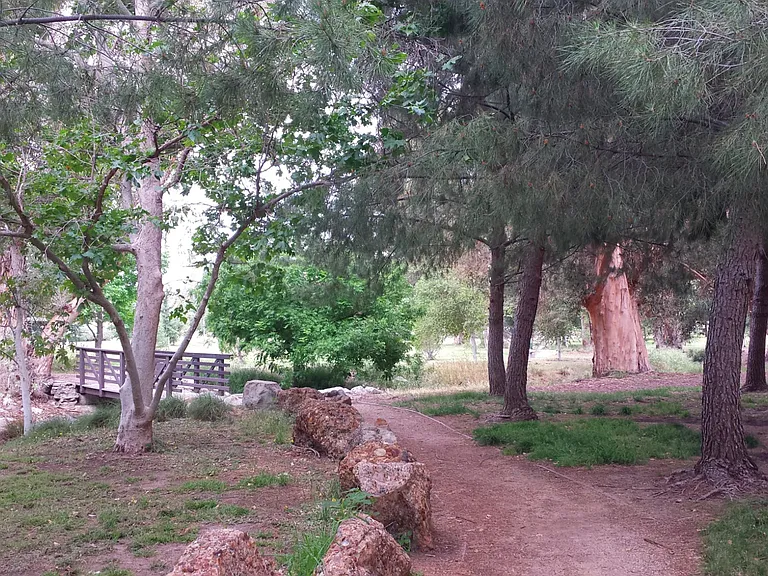Bee Canyon Park