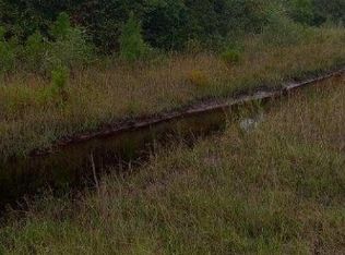 0 Buffalo Creek Dr, Nahunta, GA 31553