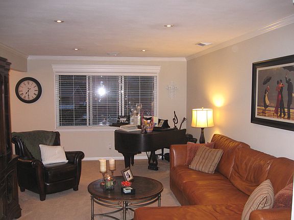 Plush Berber Carpeting