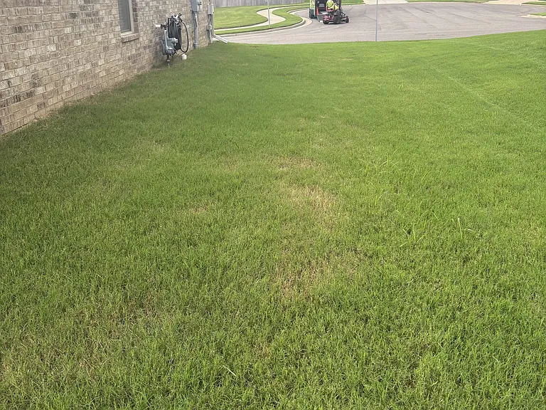 Side Yard view
