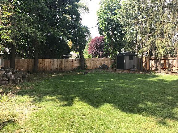 Back yard west