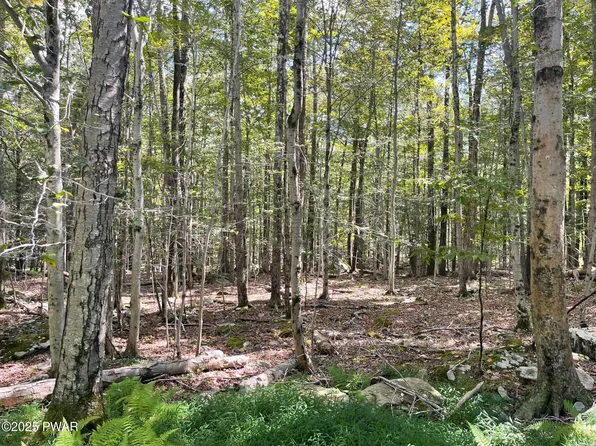 Fawn Rd, Hawley, PA 18428