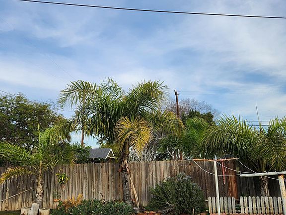 back yard
